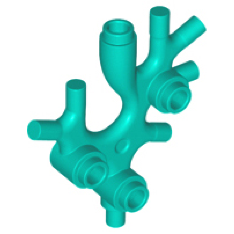 Plant, Zeewier, Koraal Dark Turquoise